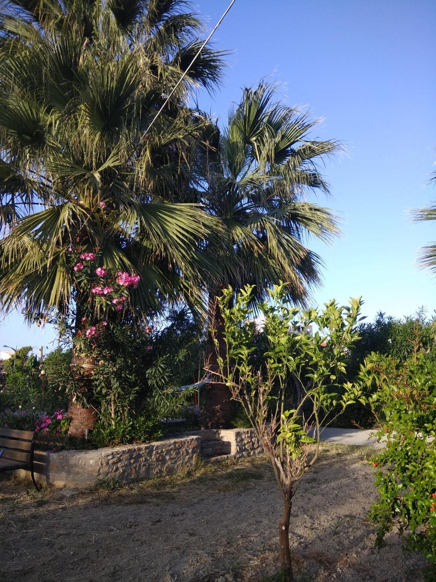 Violetta Hotel Amoudara  ภายนอก รูปภาพ