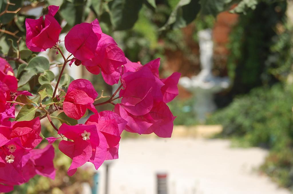 Violetta Hotel Amoudara  ภายนอก รูปภาพ